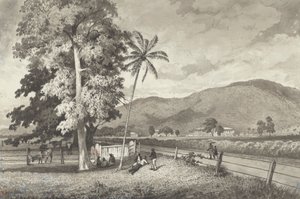  द्वारा मिशेल जीन कज़ाबोन