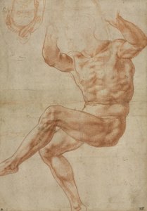 सिस्टीन सीलिंग, 1510-11 के लिए पैगंबर डैनियल पर नग्न युवाओं के लिए अध्ययन