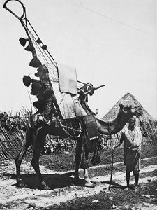 फासीवादी युग में 'बिल्डिंग ए एम्पायर': शादी समारोह के लिए फिनरी के साथ ऊंट, 09/05/1936 (बी/डब्ल्यू फोटो) द्वारा मोडेस्टिनो बाल्डिनेटी