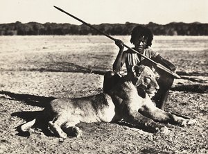 फासीवादी युग में 'बिल्डिंग ए एम्पायर': शेर का उदाहरण, 09/05/1936 (बी/डब्ल्यू फोटो) द्वारा मोडेस्टिनो बाल्डिनेटी