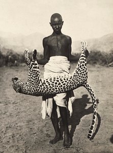 फासीवादी युग में 'बिल्डिंग ए एम्पायर': तेंदुआ प्रदर्शित करने वाला स्वदेशी, 09/05/1936 (बी/डब्ल्यू फोटो) द्वारा मोडेस्टिनो बाल्डिनेटी