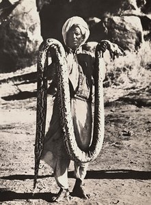 फासीवादी युग में 'बिल्डिंग ए एम्पायर': एक अजगर के साथ स्वदेशी, 09/05/1936 (बी/डब्ल्यू फोटो) द्वारा मोडेस्टिनो बाल्डिनेटी