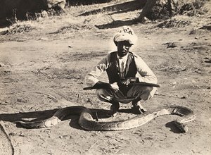 फासीवादी युग में 'बिल्डिंग ए एम्पायर': एक अजगर के साथ स्वदेशी, 09/05/1936 (बी/डब्ल्यू फोटो) द्वारा मोडेस्टिनो बाल्डिनेटी