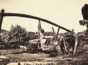 फासीवादी युग में 'बिल्डिंग ए एम्पायर': स्वदेशी नोरिया, 09/05/1936 (बी/डब्ल्यू फोटो) द्वारा मोडेस्टिनो बाल्डिनेटी
