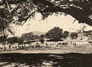 फासीवादी युग में 'बिल्डिंग ए एम्पायर': निचले मैदान में कुएं, 09/05/1936 (बी/डब्ल्यू फोटो) द्वारा मोडेस्टिनो बाल्डिनेटी