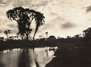 फासीवादी युग में 'बिल्डिंग ए एम्पायर': पश्चिमी निचला मैदान, 09/05/1936 (बी/डब्ल्यू फोटो) द्वारा मोडेस्टिनो बाल्डिनेटी