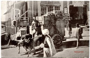 बैल-गाड़ी, c.1900-20 द्वारा मूरली धुर एंड संस