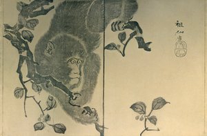 बंदर, 1815, 1924।