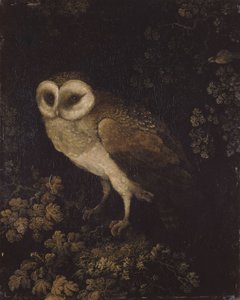 एक उल्लू, 1780-1790।