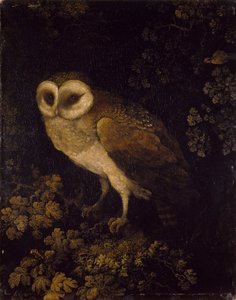 एक उल्लू, 1780-90