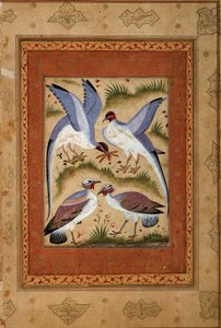 पक्षी। मोघोले स्कूल से लघु गौचे। 1590-1600। पेरिस, गुइमेट संग्रहालय, एशियाई कला का राष्ट्रीय संग्रहालय