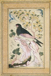 रॉक पर पक्षी परिहार, 1684