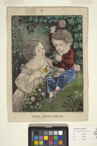  द्वारा एन. और इवेस जेएम (1824 95) क्यूरियर