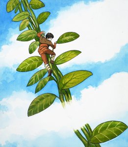  द्वारा नादिर क्विंटो