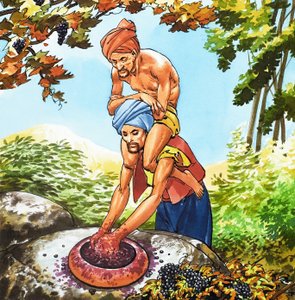  द्वारा नादिर क्विंटो