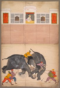 मुहम्मद शाह से पहले एक अदालत में लड़ते हुए दो हाथी, सी। 1730-1740।
