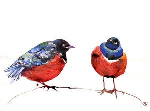 चित्राचट, 2013 (स्याही कागज पर)