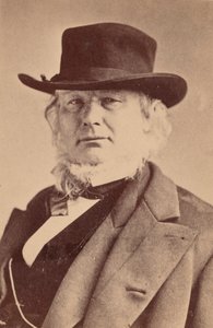 होरेस ग्रीले का पोर्ट्रेट 1811-1872, 1869। द्वारा नेपोलियन सरनी