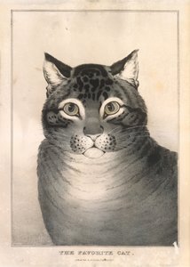 पसंदीदा बिल्ली, 1838-46।, 1838-46।