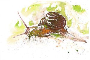  द्वारा निएले ओसबोर्न