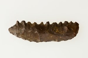 द्विभाजित दरांती, c.4500-4000 ईसा पूर्व (चकमक पत्थर)