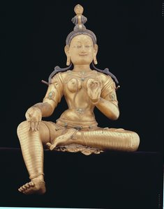 तारे (कांस्य लागू होता है) द्वारा नेपाली स्कूल