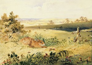 लैंडस्केप में हरे, 1827 (बॉडीकोल के साथ डब्ल्यूसी, कागज पर गोंद अरबी अंड ग्रेफाइट) द्वारा न्यूटन फील्डिंग