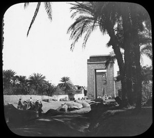 एवेन्यू ऑफ स्फिंक्स, कार्नक, मिस्र, c1890 द्वारा न्यूटन और सह