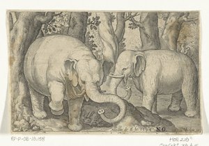दो हाथी Animalivm qvadrvpedvm (श्रृंखला शीर्षक) परिदृश्य में जानवर (श्रृंखला शीर्षक) द्वारा निकोलास डी ब्रुइन