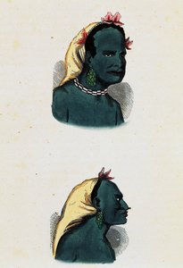  द्वारा निकोलस डैली