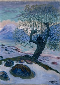  द्वारा Nikolai Astrup