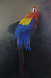  द्वारा ओडिले किड