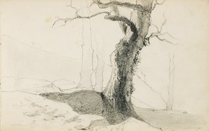 "द बास्क कंट्री" नामक एक एल्बम से ड्राइंग, 1862-63 द्वारा ओडिलोन रेडन