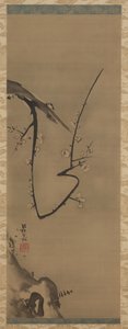 प्रूनस, हैंगिंग स्क्रॉल, c.1700 (रेशम पर स्याही) द्वारा ओगाटा कोरिन