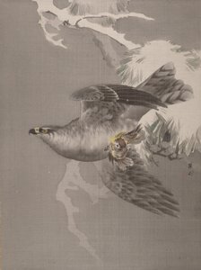 हॉक होल्डिंग ए स्मॉल बर्ड, सीए। 1891-92। द्वारा ओकाडा बाइसन