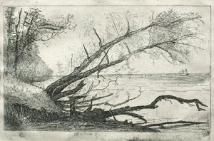 ओल्ड साइकमोर, 1877। द्वारा ओटो एच. बाचेर