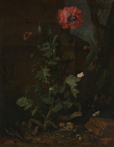 फिर भी पोपी, कीड़े और सरीसृप के साथ जीवन, सीए। 1670।