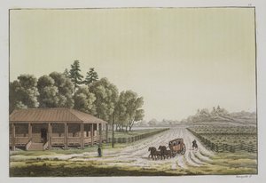 कैपिटल हिल, वाशिंगटन का दृश्य (रंग उत्कीर्णन)