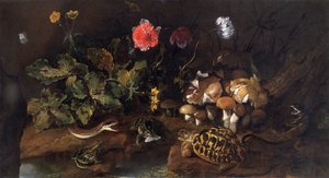सांप, मेंढक, कछुआ और छिपकली के साथ स्थिर जीवन, 1656-1673