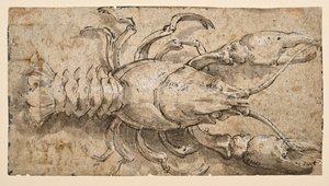  द्वारा Parmigianino
