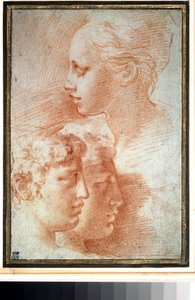  द्वारा Parmigianino
