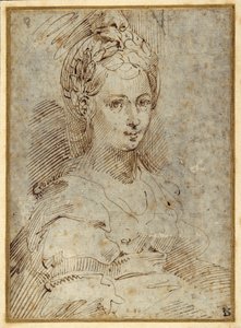 एक बैठी हुई महिला की आधी लंबाई (कागज पर कलम और स्याही) द्वारा Parmigianino
