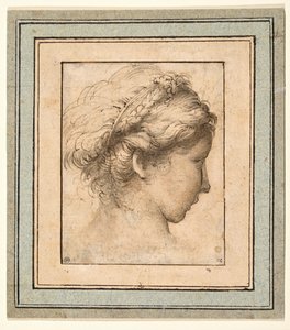  द्वारा Parmigianino