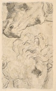  द्वारा Parmigianino