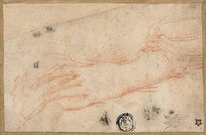  द्वारा Parmigianino