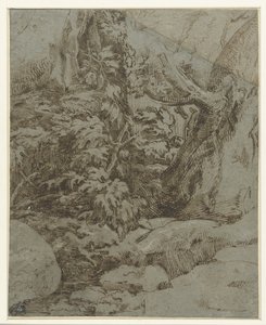  द्वारा Parmigianino