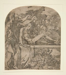  द्वारा Parmigianino