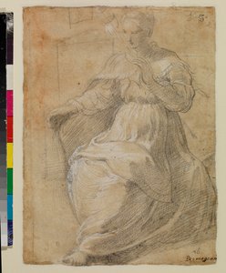 व्याकुल स्त्री को धारण करना द्वारा Parmigianino