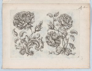 छोटे फूलों की आकृतियों की श्रृंखला, प्लेट 5, सीए। 1670-85., सीए. 1670-85. द्वारा पॉल एंड्रॉएट डू Cerceau