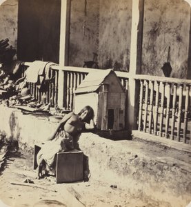 गारवेल कुत्ता (मार्टीनिक) द्वारा पॉल एमिल मिओटी